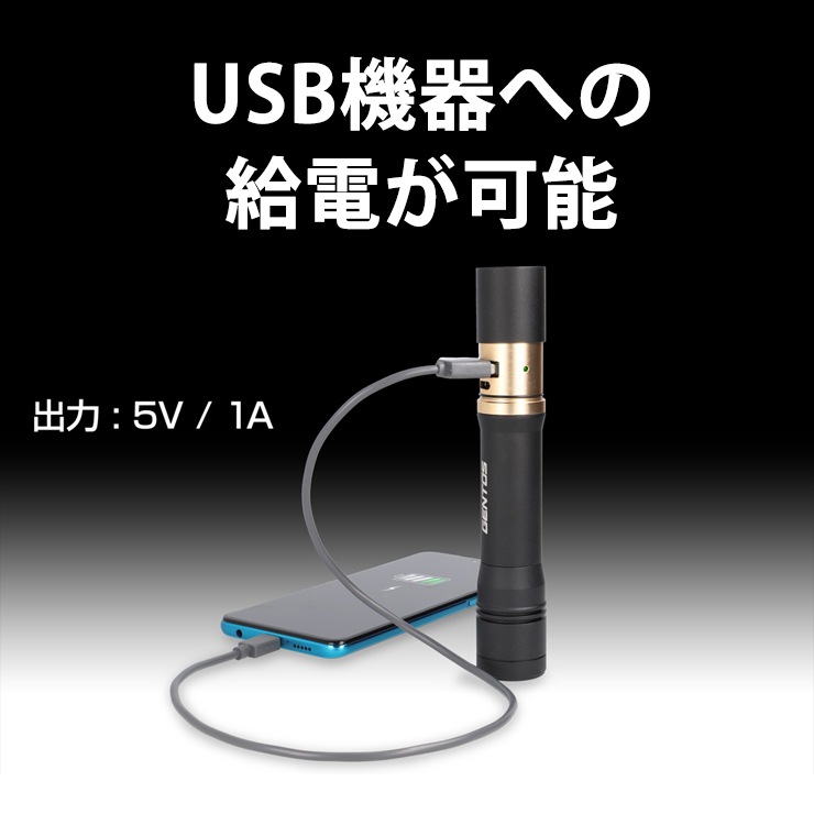 [RX-486PB] REXEED���꡼�� ���ż��ϥ�ǥ��饤�� 900lm��