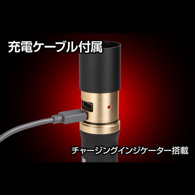 [RX-486PB] REXEED���꡼�� ���ż��ϥ�ǥ��饤�� 900lm��