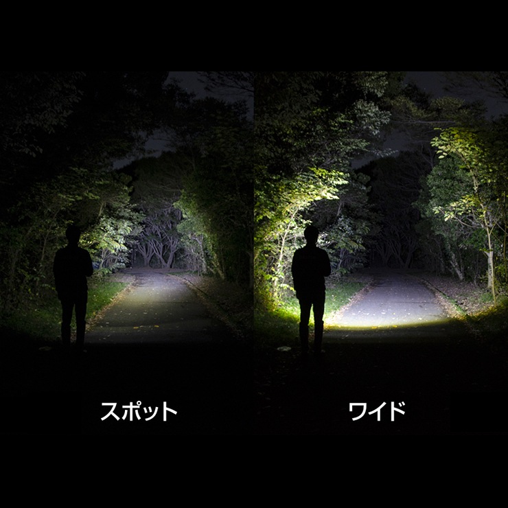 [RX-486PB] REXEED���꡼�� ���ż��ϥ�ǥ��饤�� 900lm��