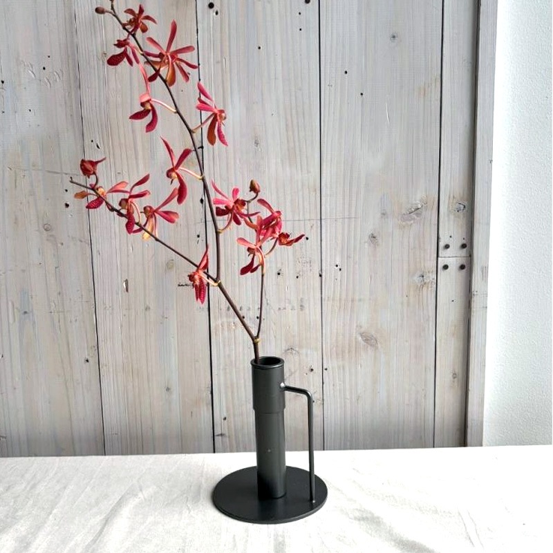 [423792] �礭�ʻޤ�Τ�褱�ƾ���륢�����󥹥���� (S) ���� ����ľ��13x�⤵15cm �ܥȥ�:����ľ��4x�⤵15cm��