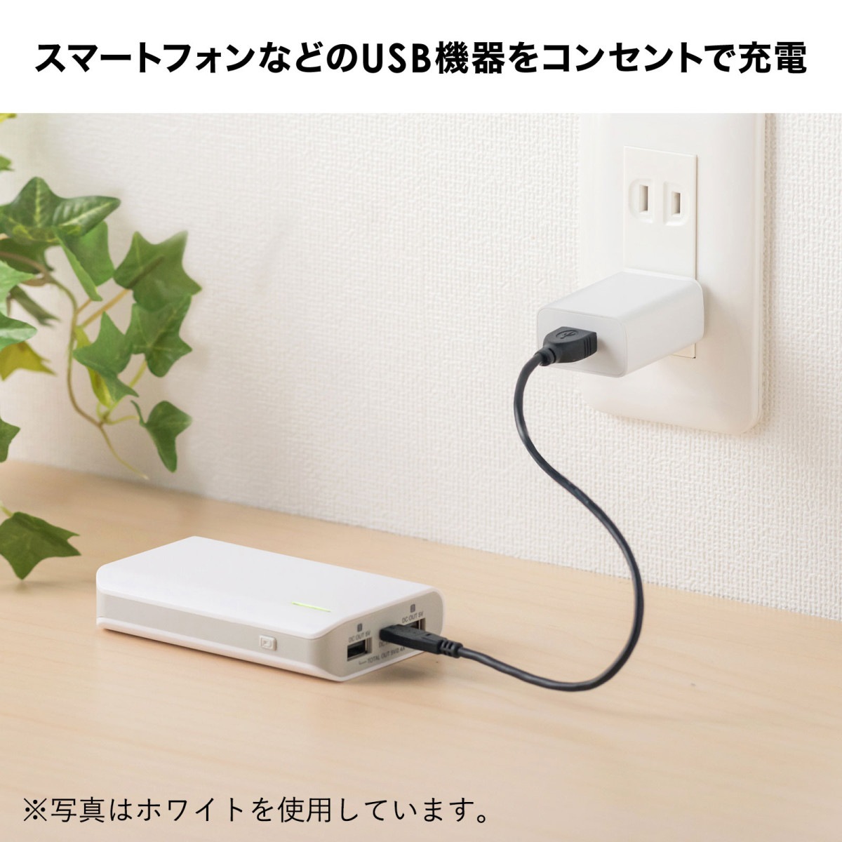 [ACA-IP86BK] USB���Ŵ�(1A���֥�å�)
