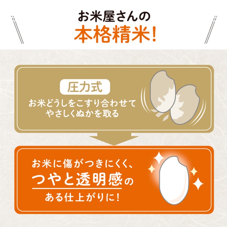 [BR-WB10-WA] ���������Ƶ� �ۥ磻�ȡ�
