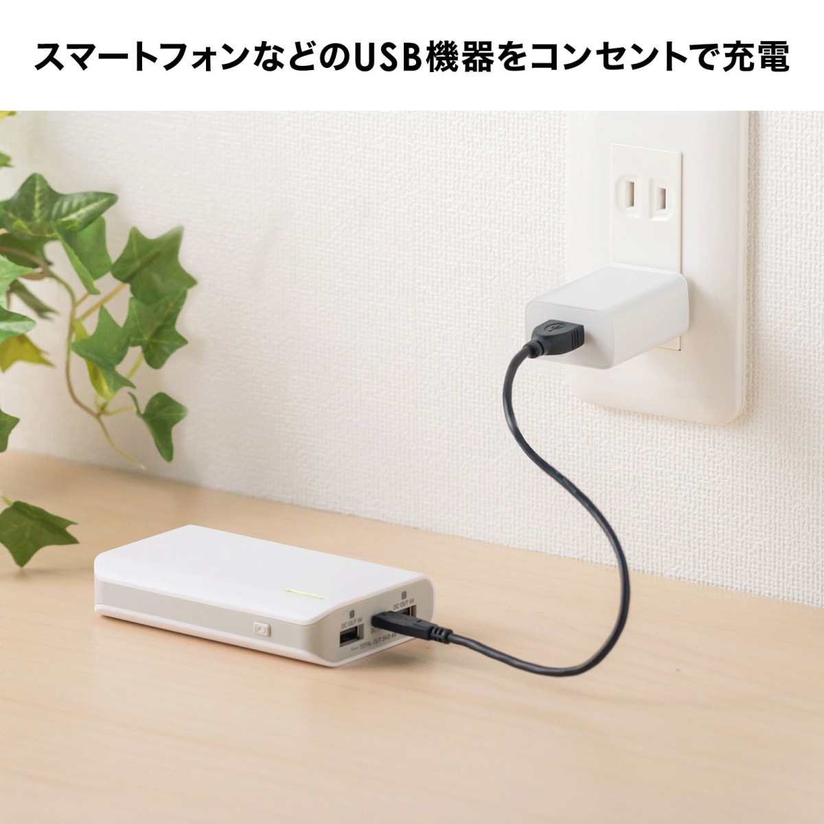 [ACA-IP86W] USB���Ŵ�(1A���ۥ磻��)