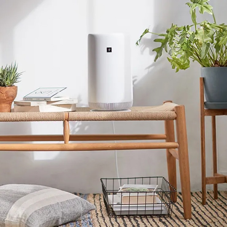 [FU-SC01-W]  ѥȥǥ ץ饺ޥ饹7000 6 ۥ磻ȷϡ