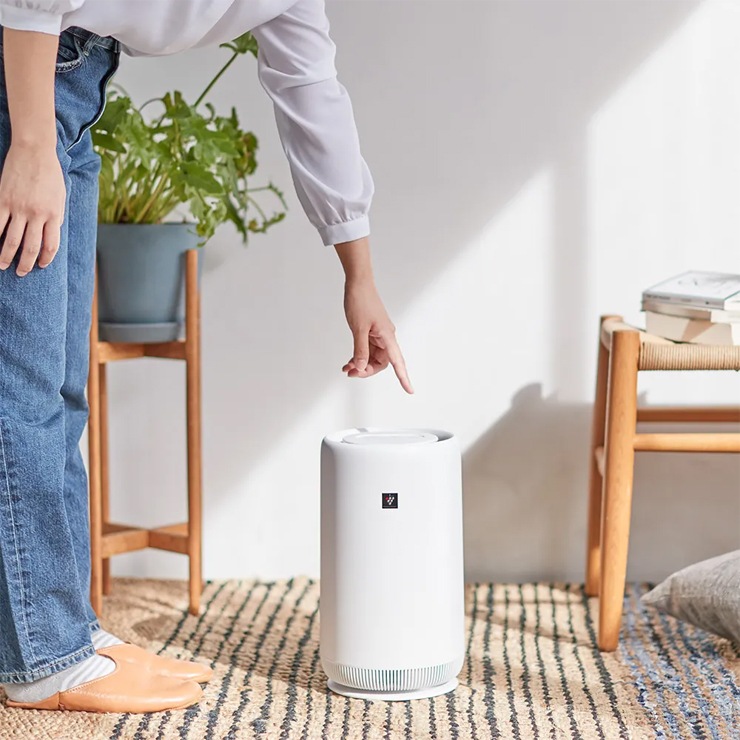 [FU-SC01-W]  ѥȥǥ ץ饺ޥ饹7000 6 ۥ磻ȷϡ