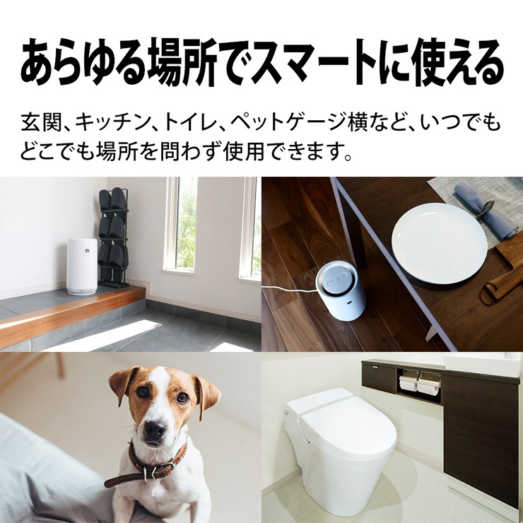 [FU-SC01-W]  ѥȥǥ ץ饺ޥ饹7000 6 ۥ磻ȷϡ