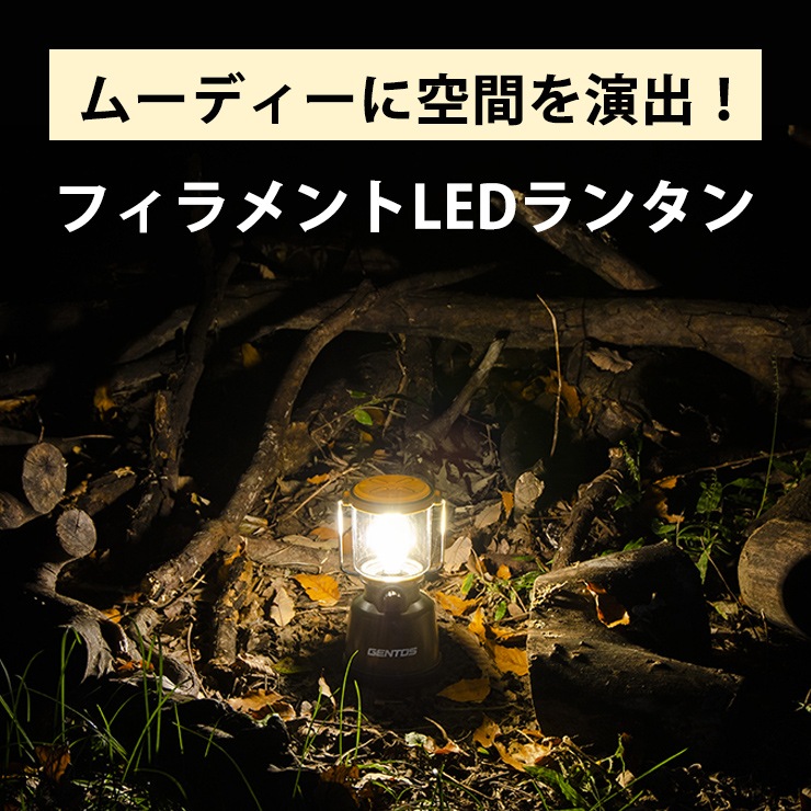 [EX-700F] ���ò�������� �ե������LED��󥿥� �������ץ����顼��