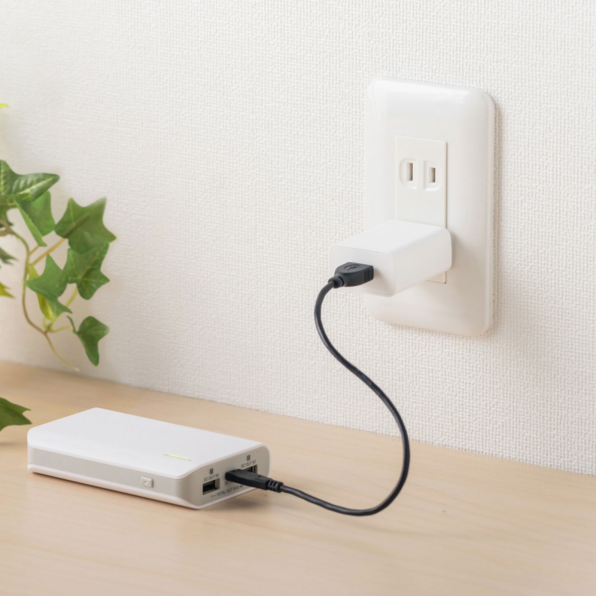 [ACA-IP87W] USB���Ŵ�(2A���ۥ磻��)