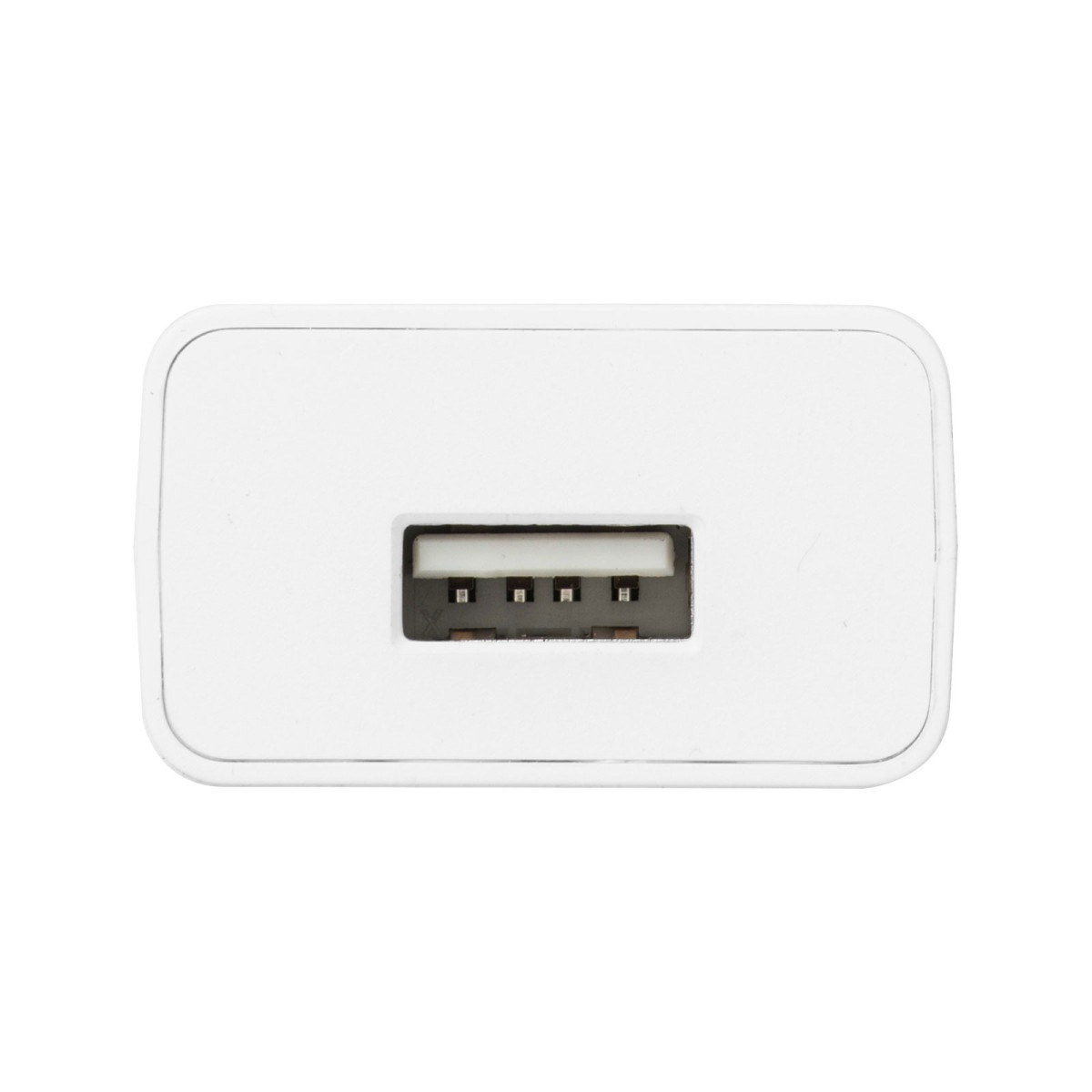 [ACA-IP87W] USB���Ŵ�(2A���ۥ磻��)