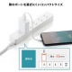 [ACA-IP87W] USB���Ŵ�(2A���ۥ磻��)