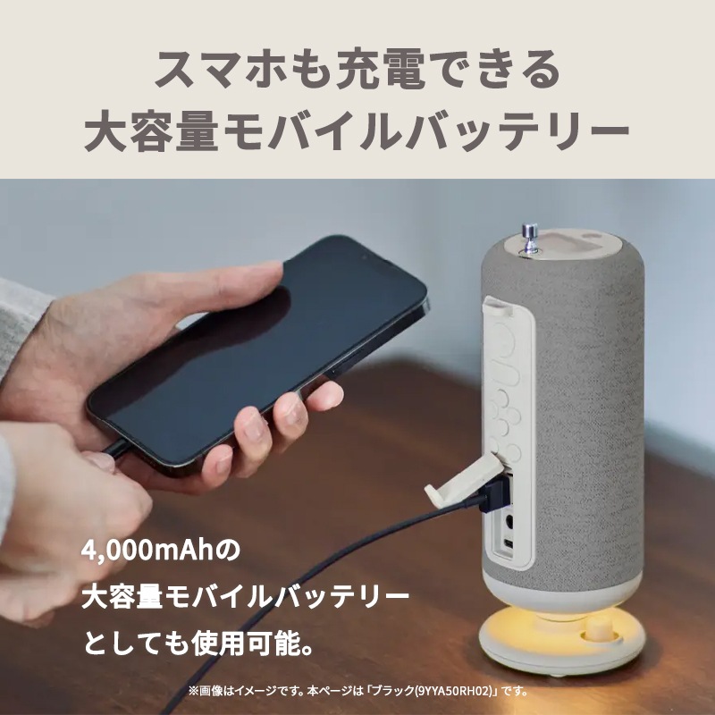 [9YYA50RH02] ��󤷽��ť磻��쥹���ԡ����� CRANKSPEAKER �֥�å���