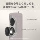 [9YYA50RH02] ��󤷽��ť磻��쥹���ԡ����� CRANKSPEAKER �֥�å���