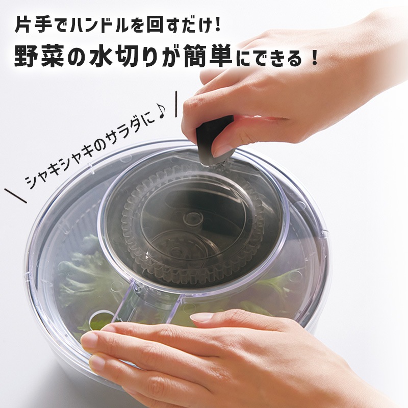 [4549351863545] ���ƥ�쥹��������ԥʡ� ����С� ���� �ܥ��� ��ڤο��ڤ� ���ڤ꤫�� �����