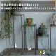 [4589824362700] KNOP plant stands S������ �Υåץץ��ȥ������ �������� �ץ�󥿡�������ɡ�