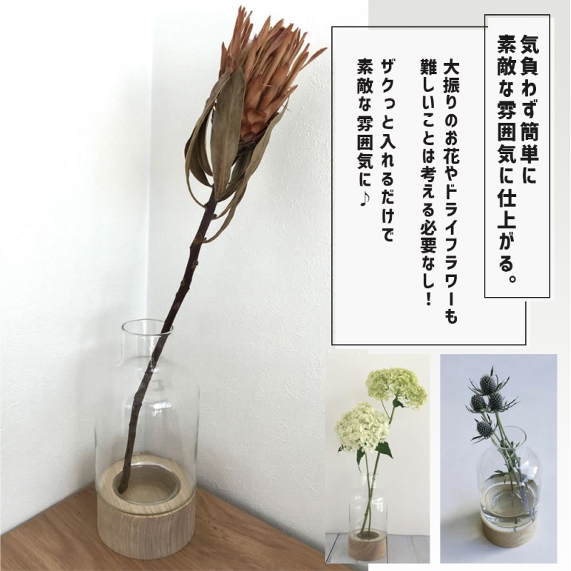 [372346] �����դ����� �ڤȥ�塼�����饹���Ȥ߹�碌���ե��١��� �ܥȥ� �ꥵ�����륬�饹 �������饹 �ϥ�ɥᥤ�� ŷ���� ���� ����ץ� ����� �ʥ������