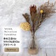 [372346] �����դ����� �ڤȥ�塼�����饹���Ȥ߹�碌���ե��١��� �ܥȥ� �ꥵ�����륬�饹 �������饹 �ϥ�ɥᥤ�� ŷ���� ���� ����ץ� ����� �ʥ������