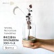 [372346] �����դ����� �ڤȥ�塼�����饹���Ȥ߹�碌���ե��١��� �ܥȥ� �ꥵ�����륬�饹 �������饹 �ϥ�ɥᥤ�� ŷ���� ���� ����ץ� ����� �ʥ������