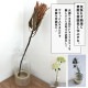 [372346] �����դ����� �ڤȥ�塼�����饹���Ȥ߹�碌���ե��١��� �ܥȥ� �ꥵ�����륬�饹 �������饹 �ϥ�ɥᥤ�� ŷ���� ���� ����ץ� ����� �ʥ������