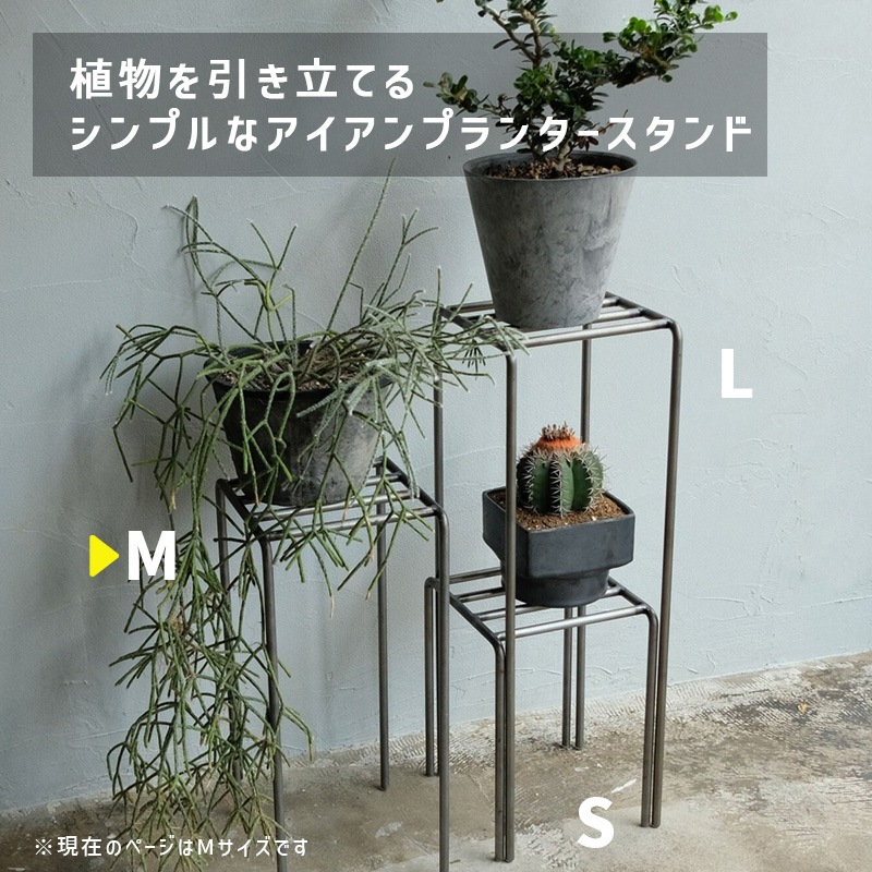 [4589824362717] KNOP plant stands M������ �Υåץץ��ȥ������ �������� �ץ�󥿡�������ɡ�