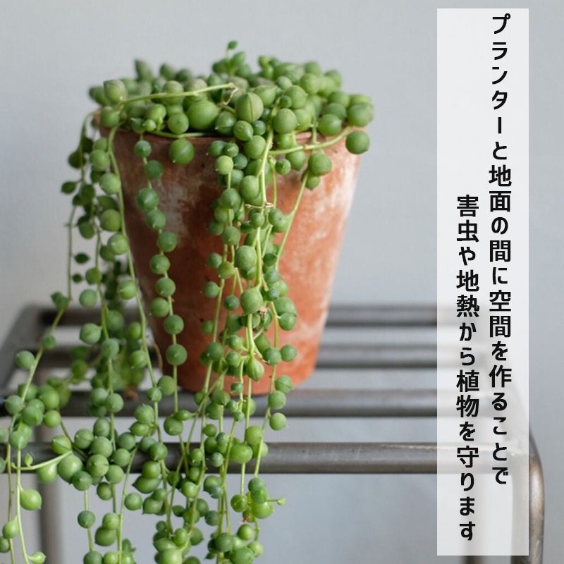 [4589824362717] KNOP plant stands M������ �Υåץץ��ȥ������ �������� �ץ�󥿡�������ɡ�