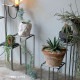 [4589824362717] KNOP plant stands M������ �Υåץץ��ȥ������ �������� �ץ�󥿡�������ɡ�