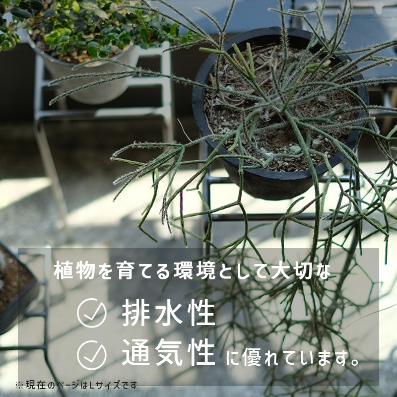 [4589824362724] KNOP plant stands L������ �Υåץץ��ȥ������ �������� �ץ�󥿡�������ɡ�