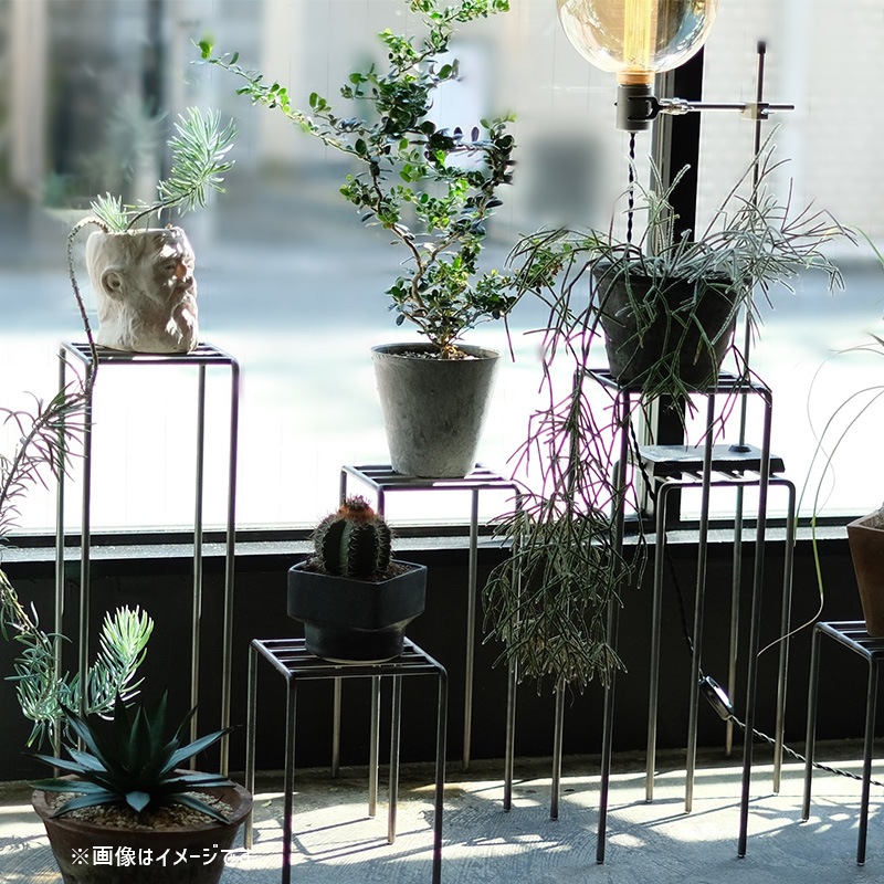 [4589824362724] KNOP plant stands L������ �Υåץץ��ȥ������ �������� �ץ�󥿡�������ɡ�