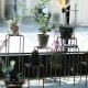 [4589824362724] KNOP plant stands L������ �Υåץץ��ȥ������ �������� �ץ�󥿡�������ɡ�