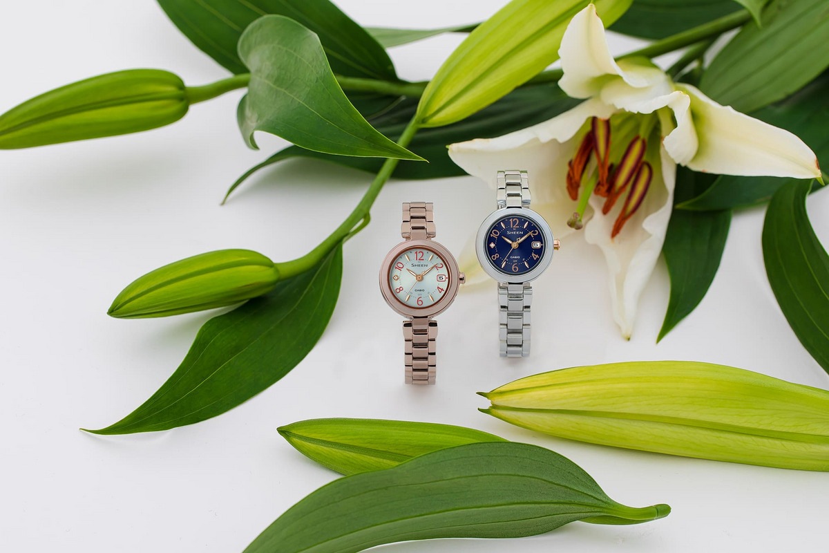 [SHW-7100TD-2AJF] SHEEN Radio Controlled Model Titanium Series �����顼���Ȼ���