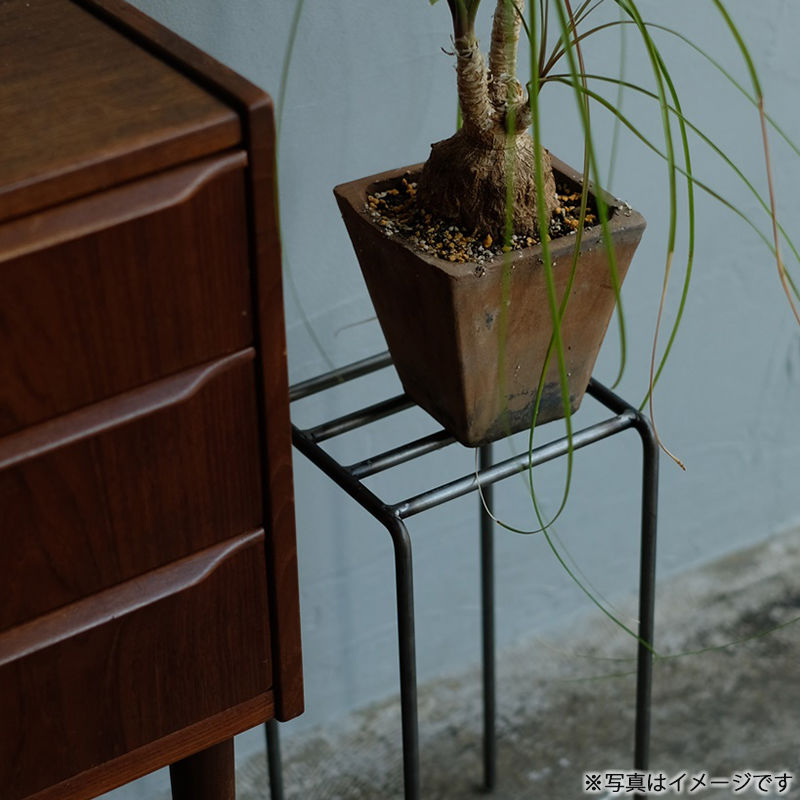 [4589824362731] KNOP plant stands 3pieces set �Υåץץ��ȥ������ �������� �ץ�󥿡�������ɡ�