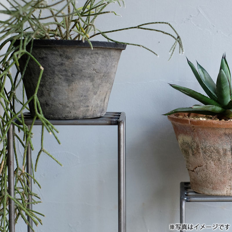 [4589824362731] KNOP plant stands 3pieces set �Υåץץ��ȥ������ �������� �ץ�󥿡�������ɡ�