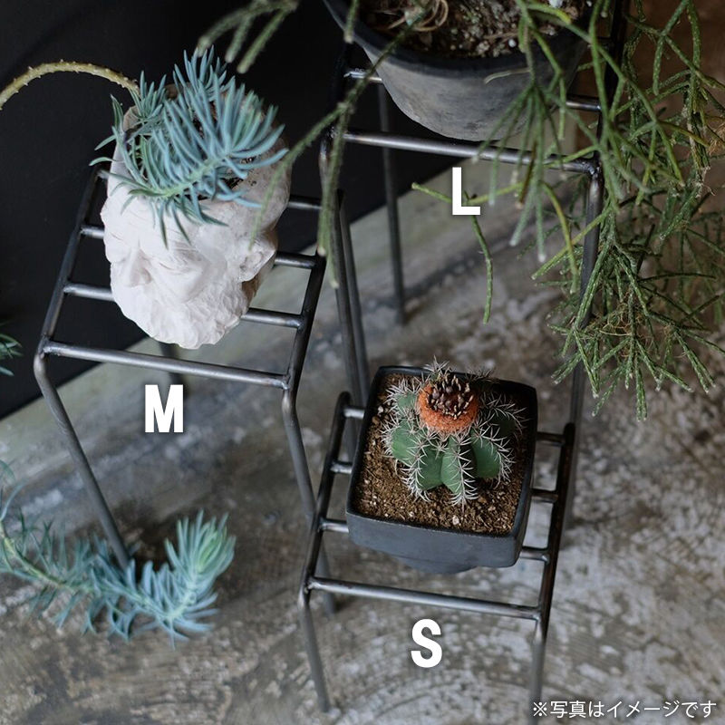 [4589824362731] KNOP plant stands 3pieces set �Υåץץ��ȥ������ �������� �ץ�󥿡�������ɡ�