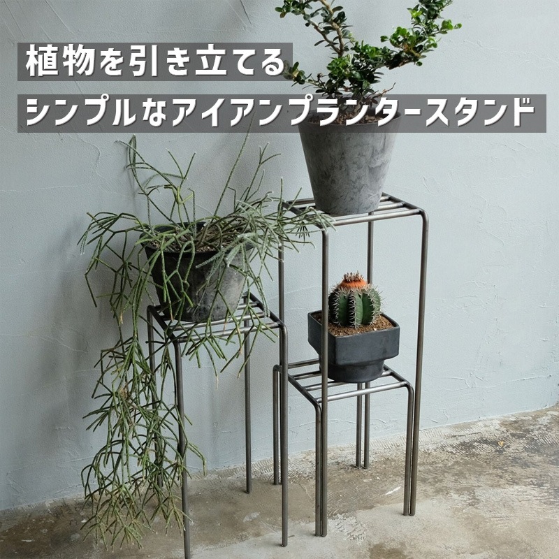 [4589824362731] KNOP plant stands 3pieces set �Υåץץ��ȥ������ �������� �ץ�󥿡�������ɡ�