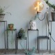 [4589824362731] KNOP plant stands 3pieces set �Υåץץ��ȥ������ �������� �ץ�󥿡�������ɡ�
