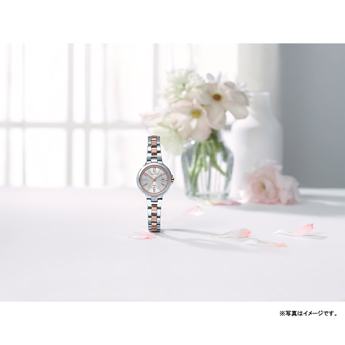 [SHW-5100DSG7AJF] SHEEN Radio Controlled Model �����顼���Ȼ���