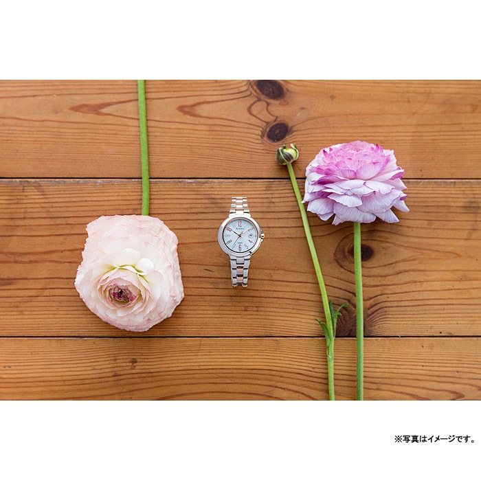 [SHW-5100DSG7AJF] SHEEN Radio Controlled Model �����顼���Ȼ���