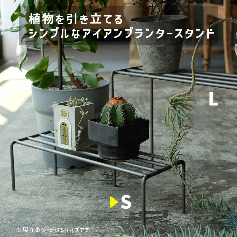 [4589824362755] KNOP plant stands WIDE S������ �Υåץץ��ȥ������ �������� �ץ�󥿡�������ɡ�