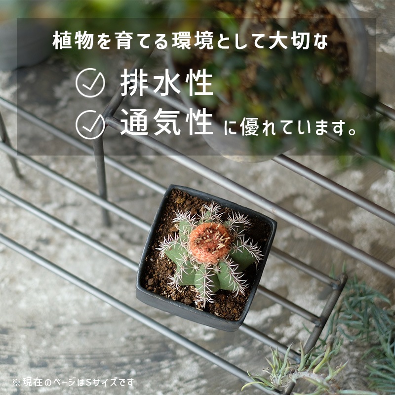 [4589824362755] KNOP plant stands WIDE S������ �Υåץץ��ȥ������ �������� �ץ�󥿡�������ɡ�