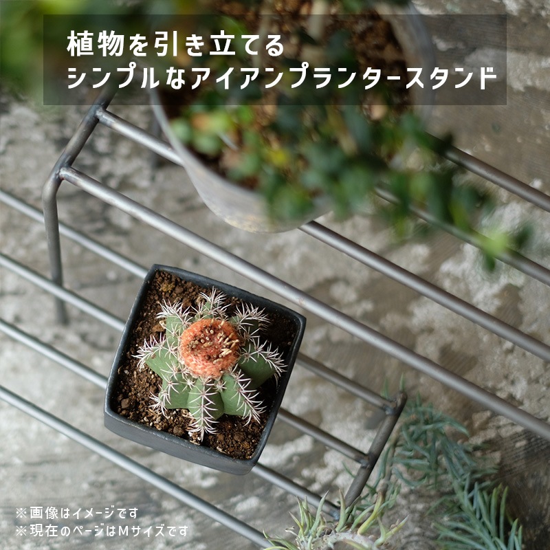 [4589824362762] KNOP plant stands WIDE M������ �Υåץץ��ȥ������ �������� �ץ�󥿡�������ɡ�