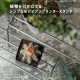 [4589824362762] KNOP plant stands WIDE M������ �Υåץץ��ȥ������ �������� �ץ�󥿡�������ɡ�