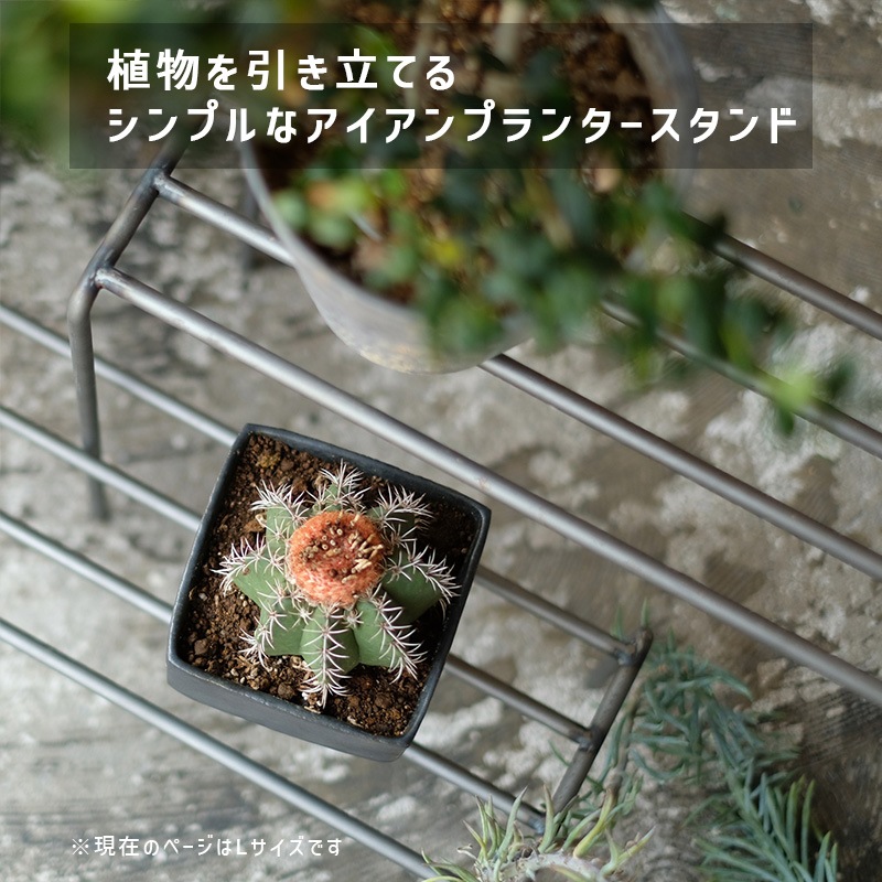 [4589824362779] KNOP plant stands WIDE L������ �Υåץץ��ȥ������ �������� �ץ�󥿡�������ɡ�
