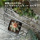 [4589824362779] KNOP plant stands WIDE L������ �Υåץץ��ȥ������ �������� �ץ�󥿡�������ɡ�