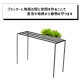 [4589824362779] KNOP plant stands WIDE L������ �Υåץץ��ȥ������ �������� �ץ�󥿡�������ɡ�