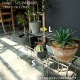 [4589824362779] KNOP plant stands WIDE L������ �Υåץץ��ȥ������ �������� �ץ�󥿡�������ɡ�