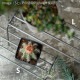 [4589824362786] KNOP plant stands WIDE 3pieces set �Υåץץ��ȥ������ �磻�� �������� �ץ�󥿡�������ɡ�