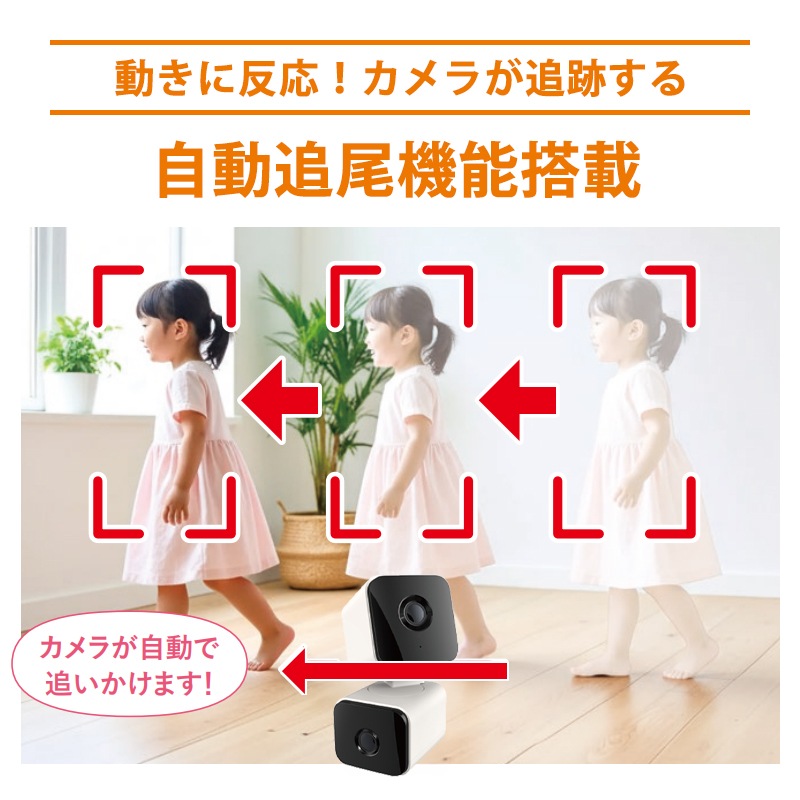 [AT-752] Wi-Fi����鲰���� ���֥륫��� �󿶤��