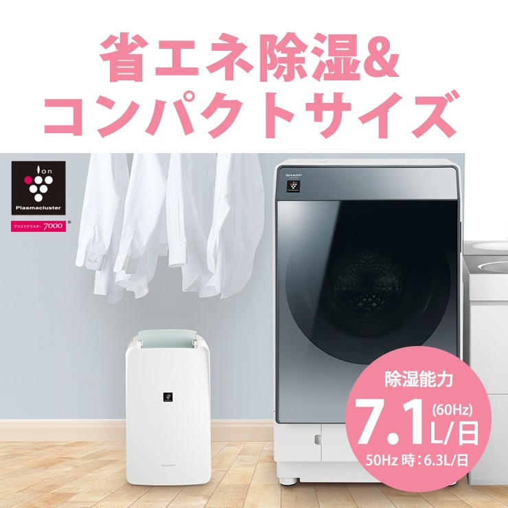 [CV-S71-W] ���ഥ������� ����ѥ��ȥ����� �ץ饺�ޥ��饹����7000 �ۥ磻�ȷϡ�