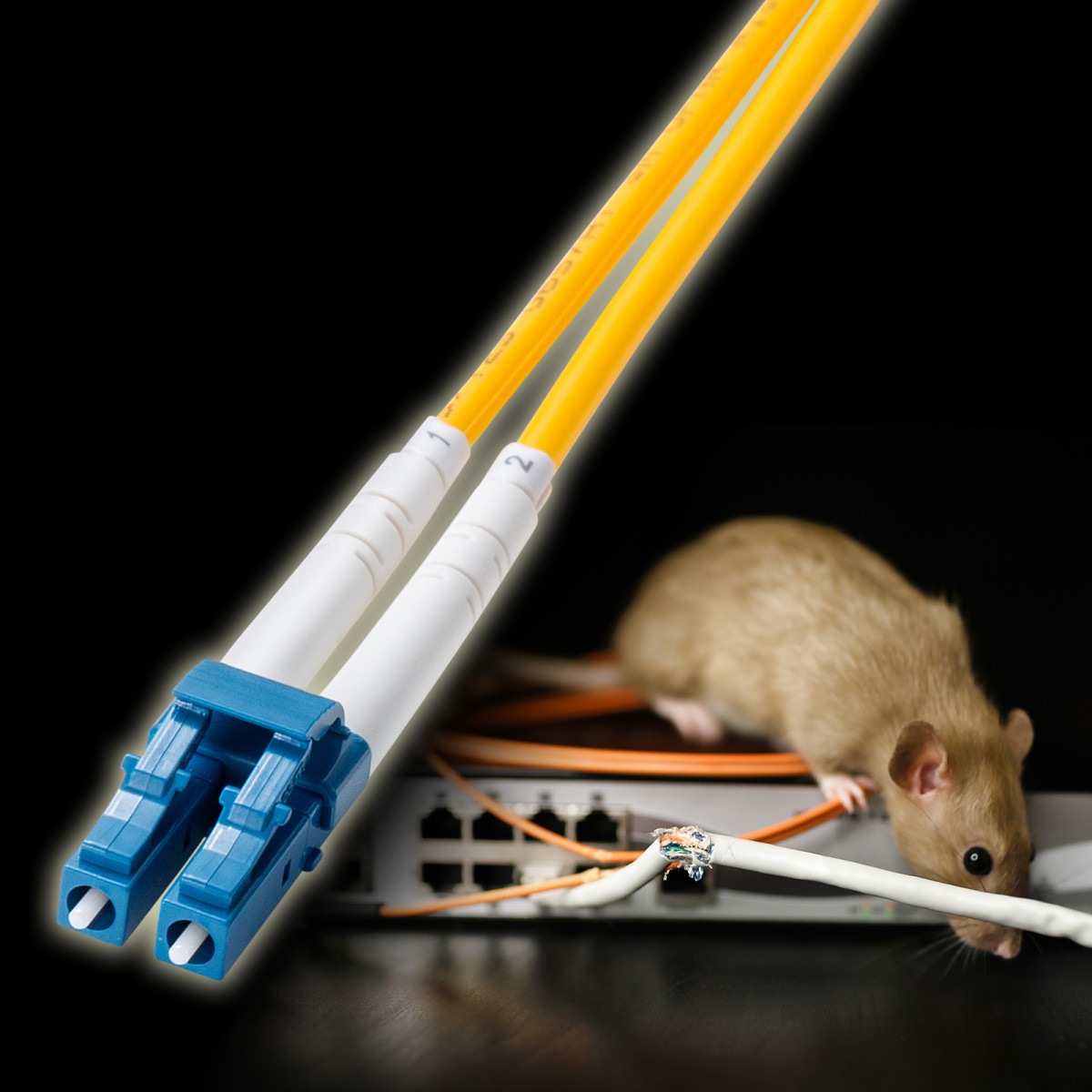 [HKB-HLCSC1-10] �䶯�ᥬ�ͷ����ե����Х����֥�(���󥰥�⡼�ɡ�LC��2-SC��2��10m)