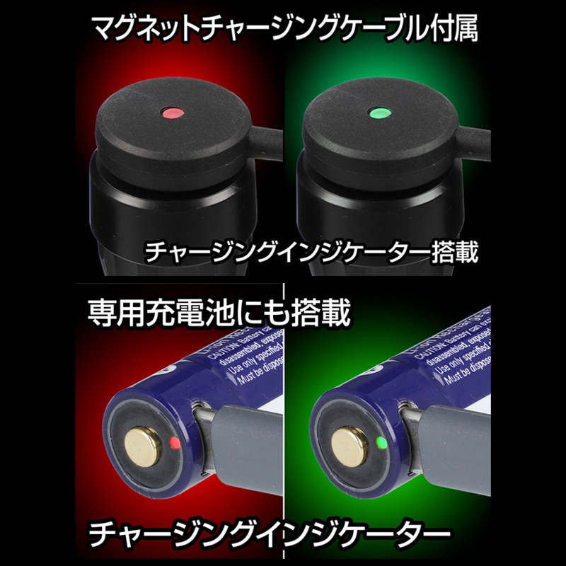 [GF-206RG] G���꡼�� �ե�å���饤�� 550lm��