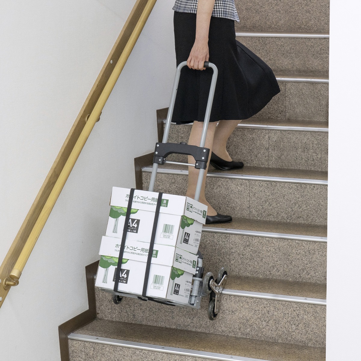 [CART-FA6GY] �ޤꤿ���ߥ���꡼(3�س��������)
